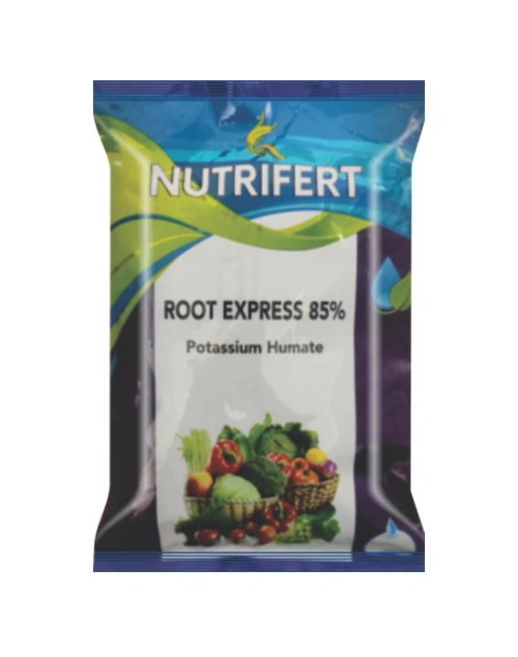 RootExpress