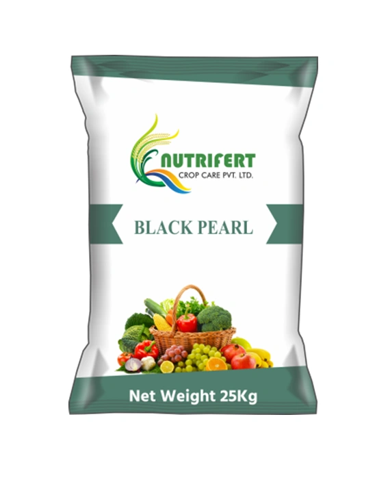 Black Pearl