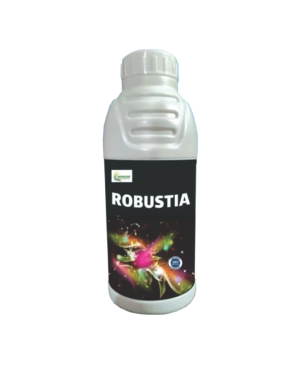 Robustia